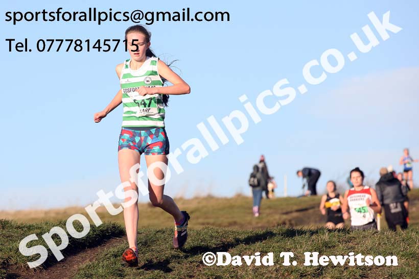 Womens under-17s and under-20s North Eastern Cross Country, 2018 Northern Cross Country Champs., Wrekenton, Gateshead. Photo:  David T. Hewitson/Sports for All Pics